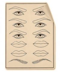 Plantilla de prácticas silicona micropigmentación/microblading (MICB-013)