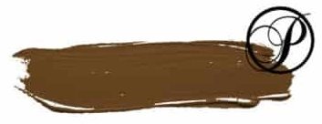 Pigmentos PUREBEAU microblading 3ml - CASTANIO - Cejas (PIG-014)